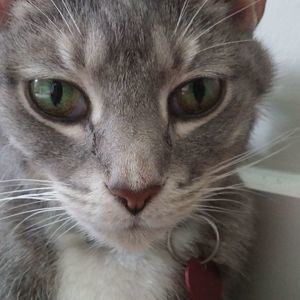 Meet your Posher, Deanna